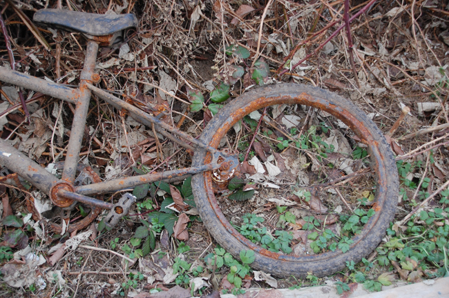 sm_bicycle wheel